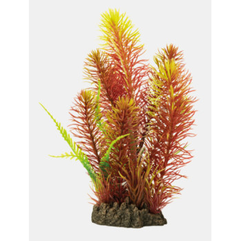 ART PLANT MYRIPHYLLUM